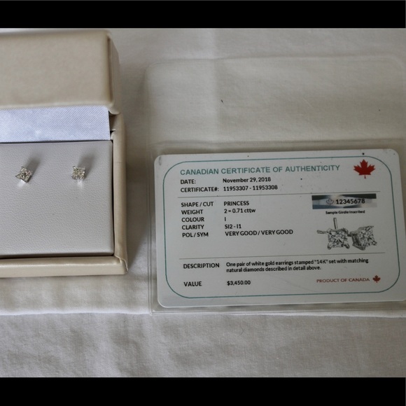 Princess cut diamond earrings for sale. White gold. Have never been worn. - Picture 3 of 3